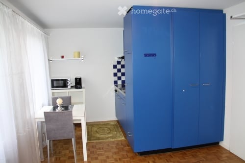 Schöne zentral gelegene möblierte 1 1/2 Zimmerwohnung 3