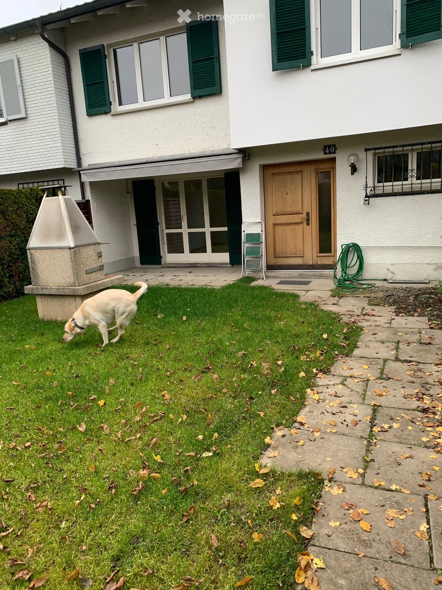 Front yard of a two-story house with green shutters, a wooden front door, a covered entrance, and a small garden area with a dog walking on the grass.