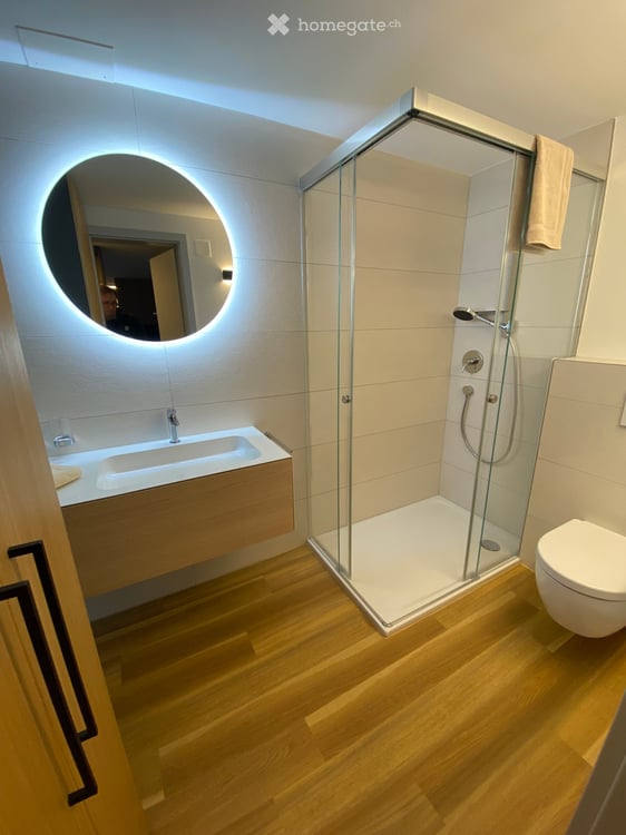 SERVICED PREMIUM APARTMENTS FREIENBACH & WOLLERAU 3