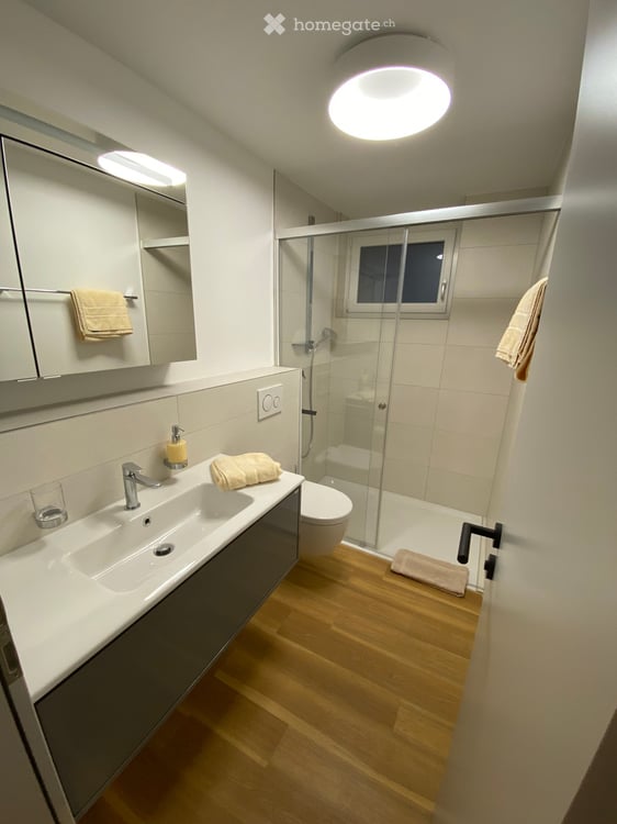 SERVICED PREMIUM APARTMENTS FREIENBACH & WOLLERAU 7