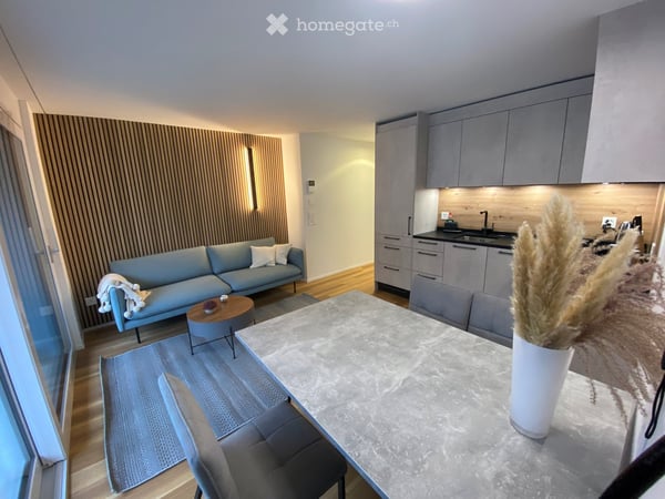 SERVICED PREMIUM APARTMENTS FREIENBACH & WOLLERAU 8