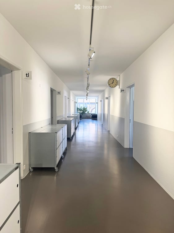 Büroräume mit Ateliercharakter im geschichtsträchtigen Pflegiareal 2