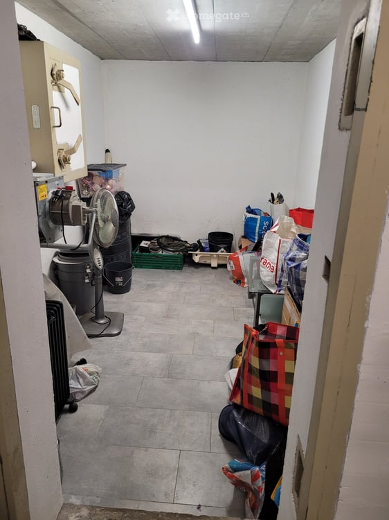 Bella casa unifamiliare con giardino e fantastica vista lago - Riva San Vitale TI 31