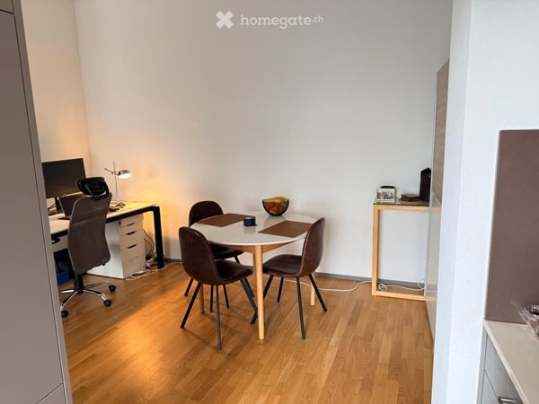 Short or Long term, Bright, new building (furnished-optional ) in a prime location, Goldbrunnenplatz 5