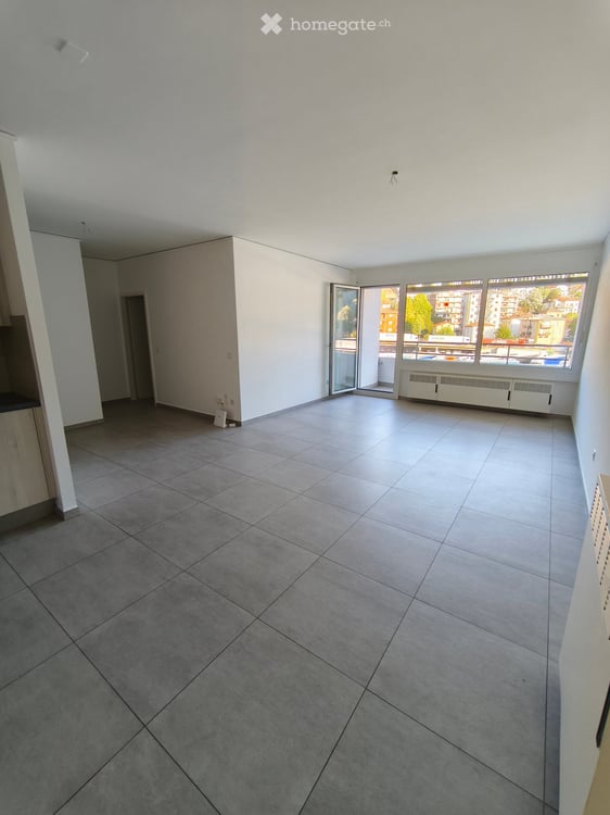 Beautifil and completely new apartment in Chiasso 1