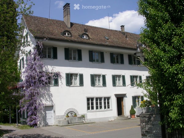 Charmante 1.5-Zimmer-Dachwohnung in historischem Gebäude – Langnau am Albis 1