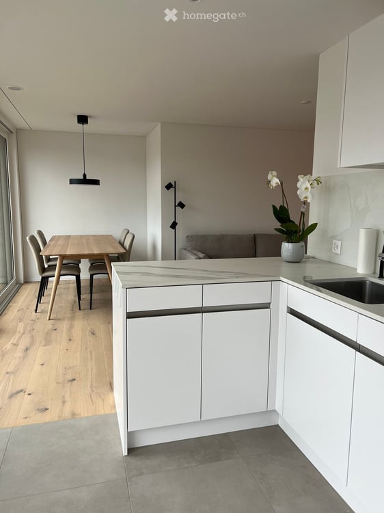 Furnished 3.5-room penthouse with 57 m² of terraces, easy access to Zug and Rotkreuz 5