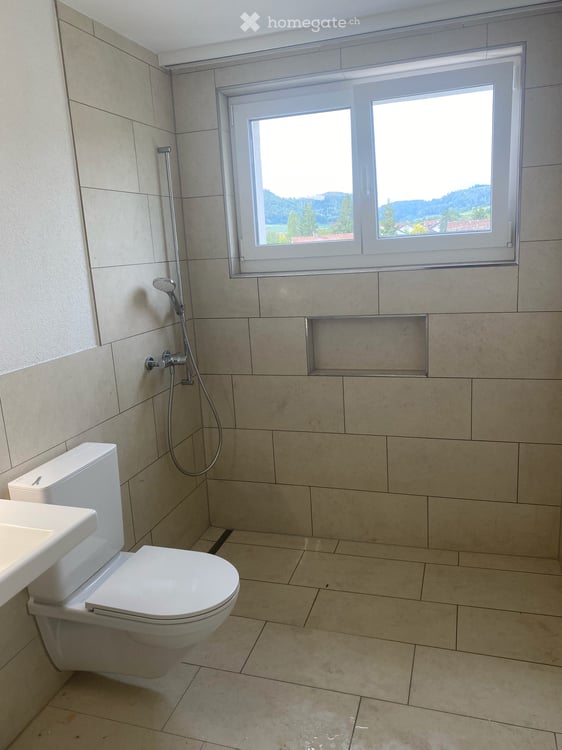 Renovierte  4 1/2 Zimmerwohnung im 2.OG 9