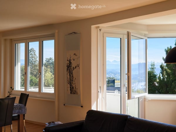 Apartment with breath-taking lake and mountain view on Zürichberg 3