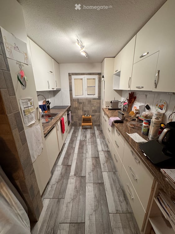 6.5-Zimmer-Reiheneck-Einfamilienhaus mit grossem Garten in Saland 3