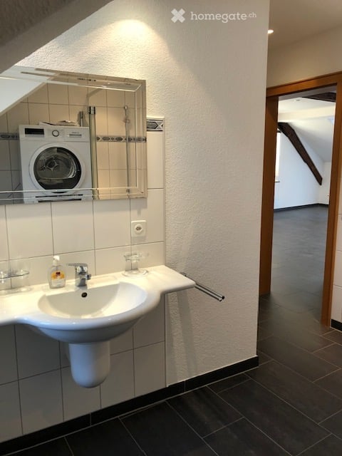 Roof flat in Brugg 5