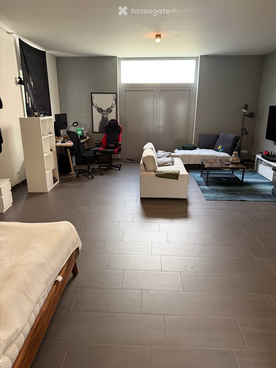 Apartment in Zürich 2