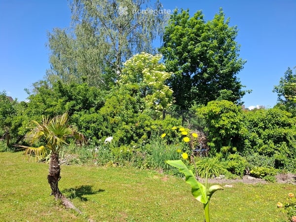 Einfamilienhaus (Liebhaberobjekt) an ruhiger Lage, Grundstück 710m2 5