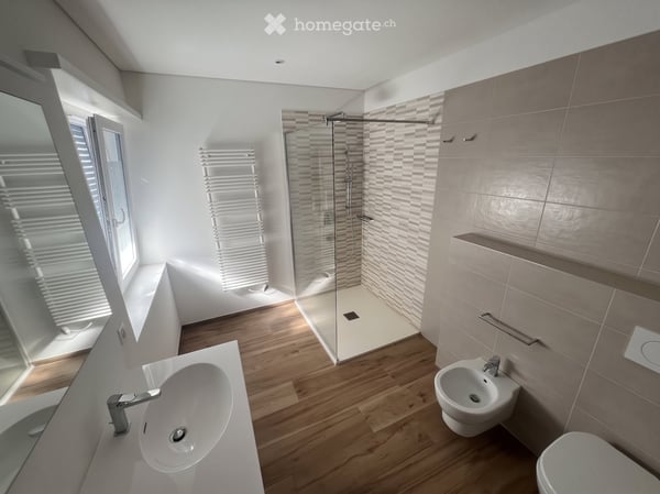 Affitasi 4.5 Camorino vista mozzafiato 9