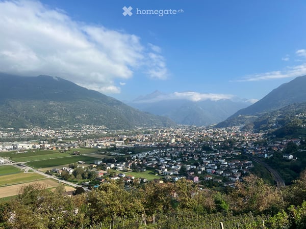 Splendido 2.5 locali completamente riattato con vista panoramica a Camorino 3