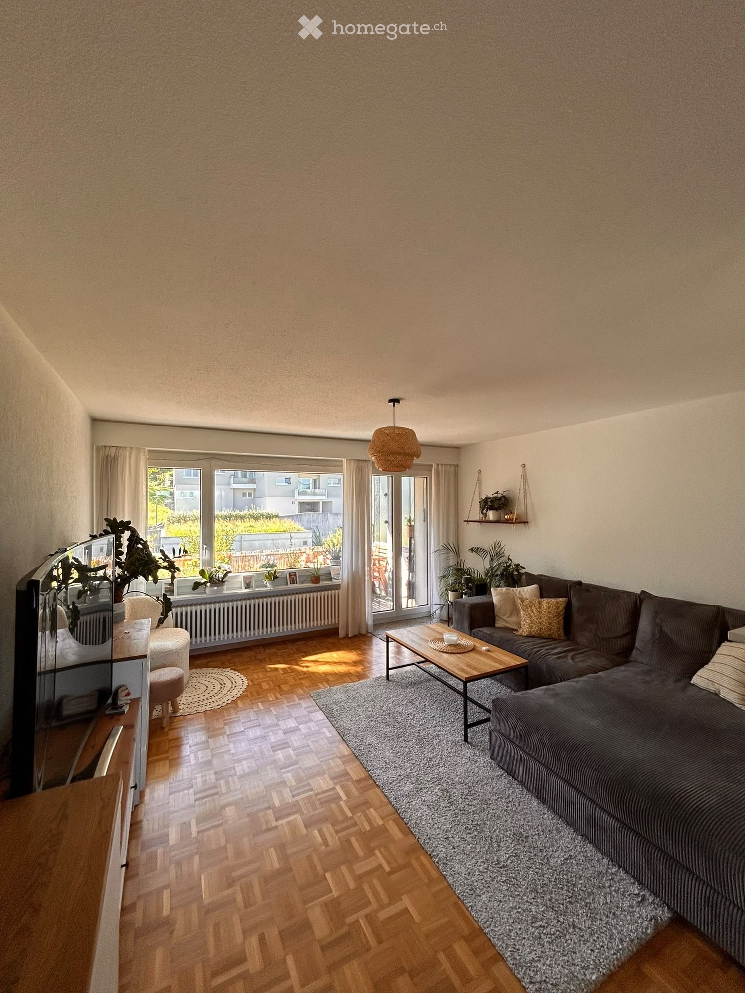 Modern living room with wooden flooring, large windows offering a view, a grey sectional sofa, a wooden coffee table, a grey rug, a small round stool, a TV stand with a television, and several potted plants.
