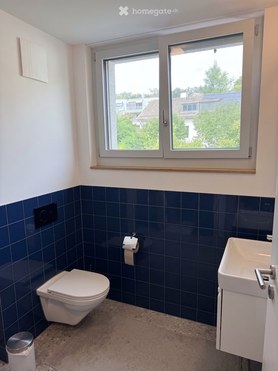 2.5 rooms with lake & Uetliberg views in Witikon Kreis 7 11