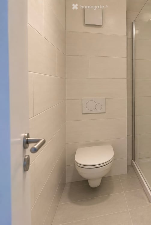 Magnifique appartement entièrement rénové avec vue sur les Dents du Midi – centre historique de Bex 3