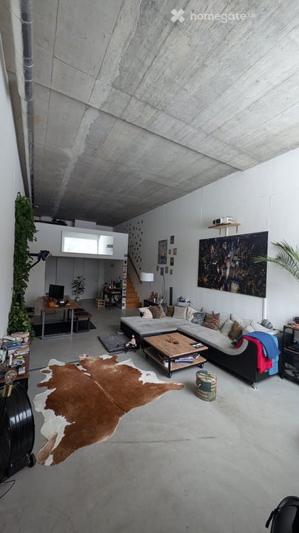 Moderne Loft-Wohnung in Schlieren 2