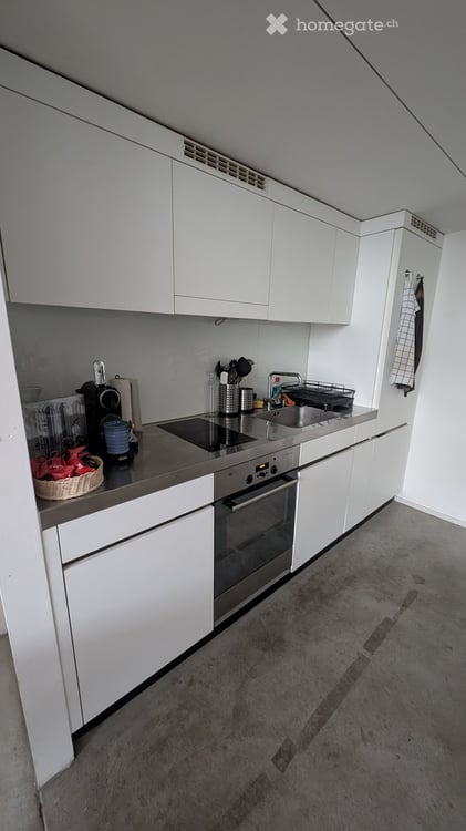Moderne Loft-Wohnung in Schlieren 3