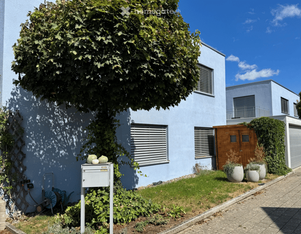 Aperçu de l'image de l'immobilier