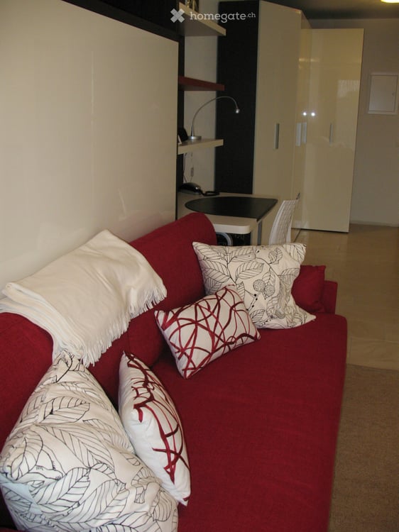 Furnished Flat - Studio meublé avec vue panoramique sur lac et Mont Blanc à Nyon 8