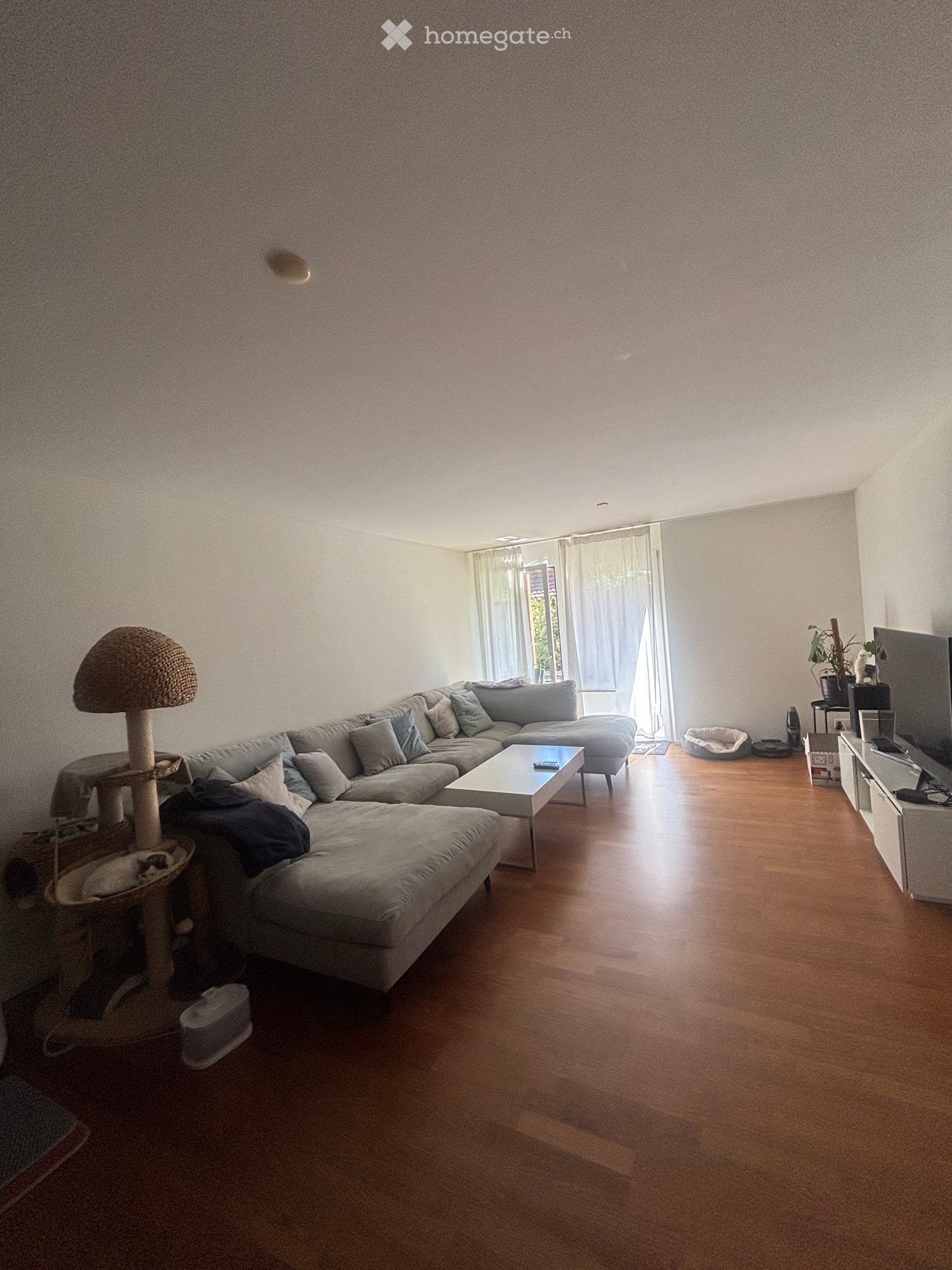 Modern living room with a grey sectional sofa, coffee table, cat tree, and TV stand. The room features wooden flooring and large windows with curtains.