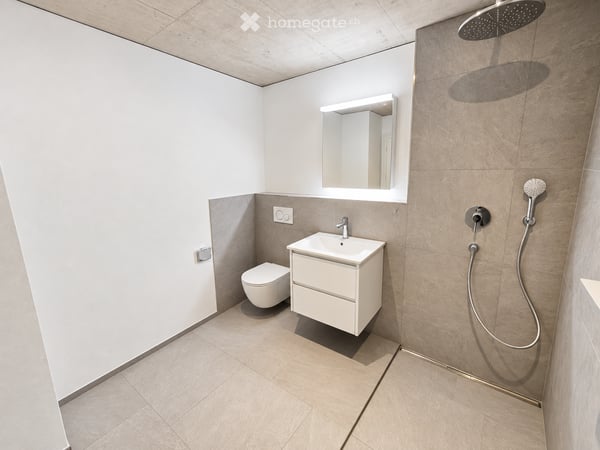 3.5-Zimmer-Neubauwohnung mit grossem Sitzplatz in Schneisingen 6