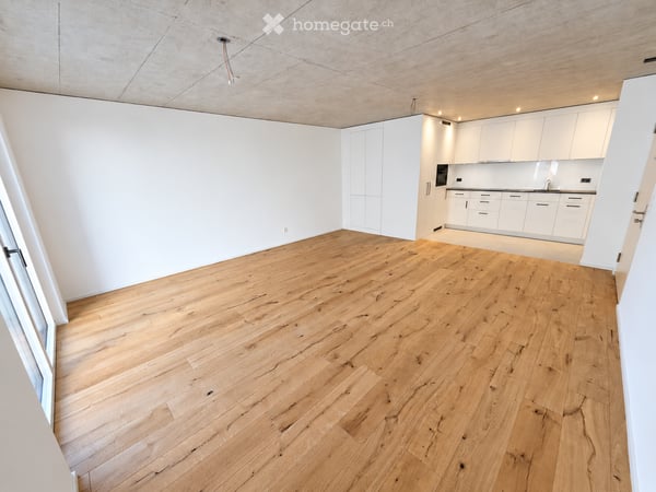 1.5-Zimmer-Neubauwohnung mit eigenem Sitzplatz in Schneisingen 3