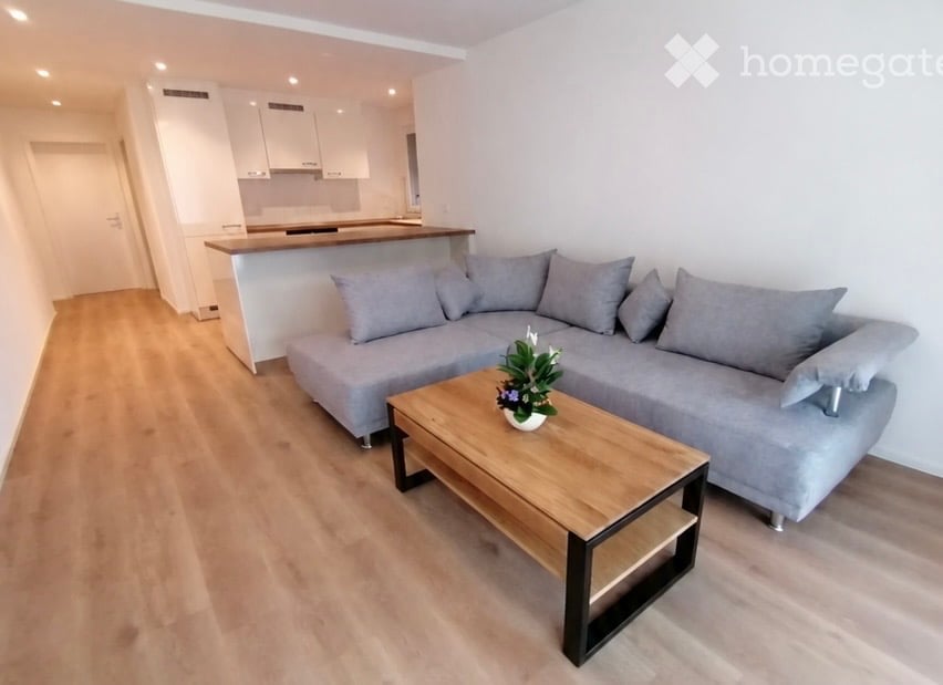 Modern living room with a grey sectional sofa, wooden coffee table with a flower pot, and a small kitchen area with white cabinets and a countertop.