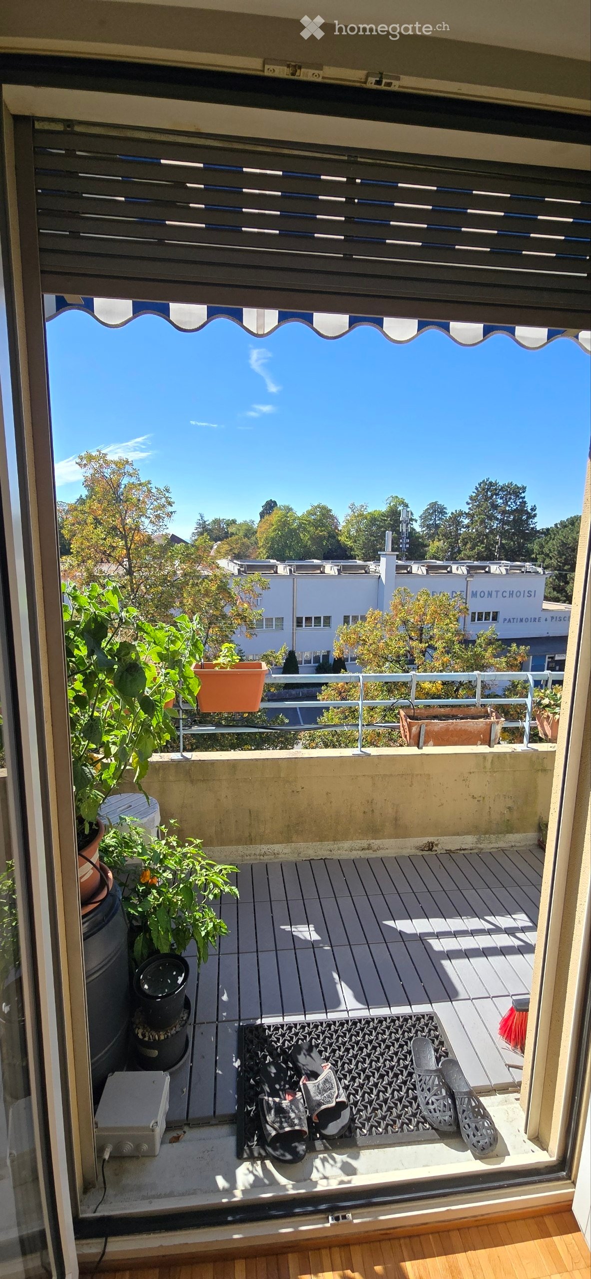 Balcony with wooden decking, potted plants, a rug with shoes, and a view of the city and trees.