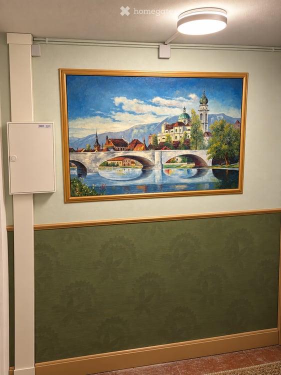 Dachwohnung in Zuchwil 5
