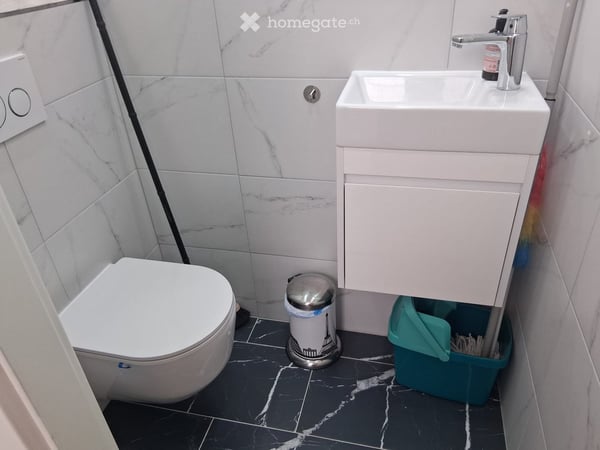 Wohnung in Vevey 5