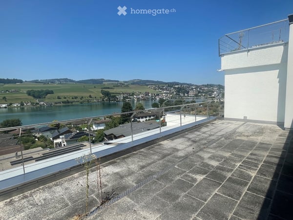 Attikawohnung mit Terrasse und Dachgarten 3