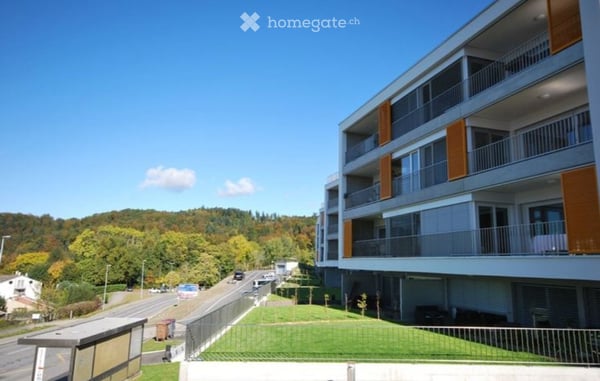 Appartement lumineux de 2,5 pièces avec vue sur le lac 2