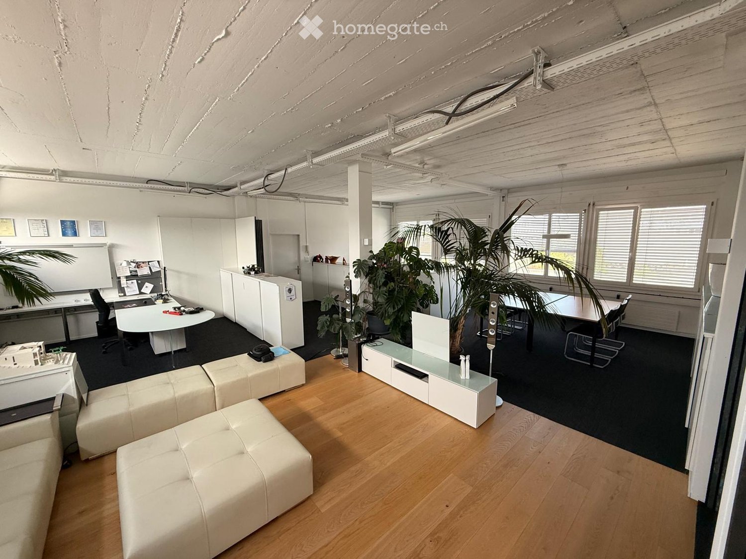 Modern office space with white leather sofas, a round table, chairs, a screen, and potted plants. The room features exposed wooden beams and large windows with blinds.