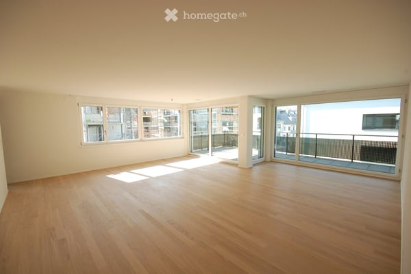Grosszügige, helle 4 1/2-Zimmer Wohnung im Hochschulquartier 6