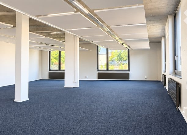 Empty room with blue carpet, white walls, large windows, and exposed ceiling beams. No furniture or equipment.