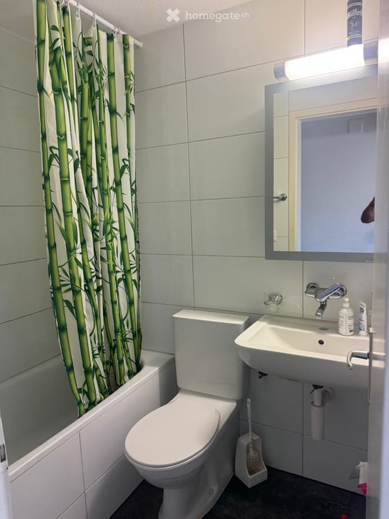 Wohnung in Hinwil 3