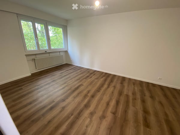 Eck-Reiheneinfamilienhaus in Liestal 12