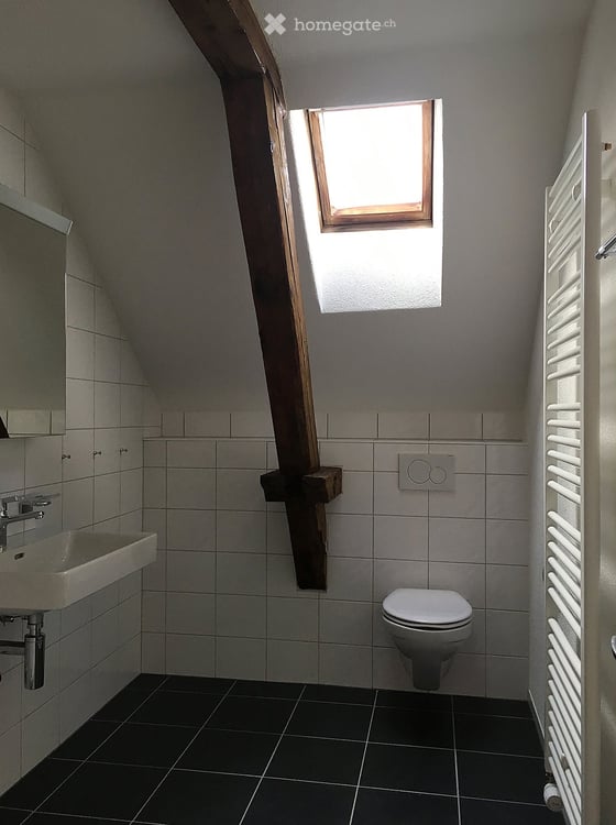 Charmante 3.5-Zimmer-Dachwohnung an der Neuhofstrasse in Dübendorf 8
