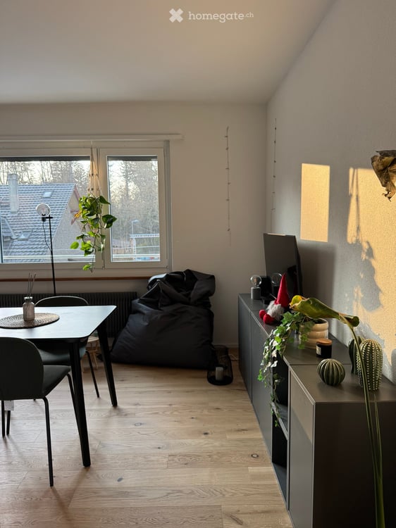 Komplett möbliertes Studio in Bern 1