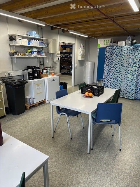 Lager, Büro, vielseitige Gewerbeflaeche und Parkplätze in Schlieren 11
