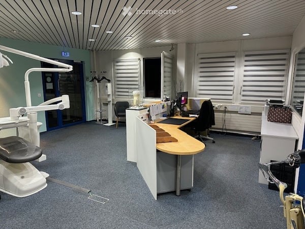Lager, Büro, vielseitige Gewerbeflaeche und Parkplätze in Schlieren 2