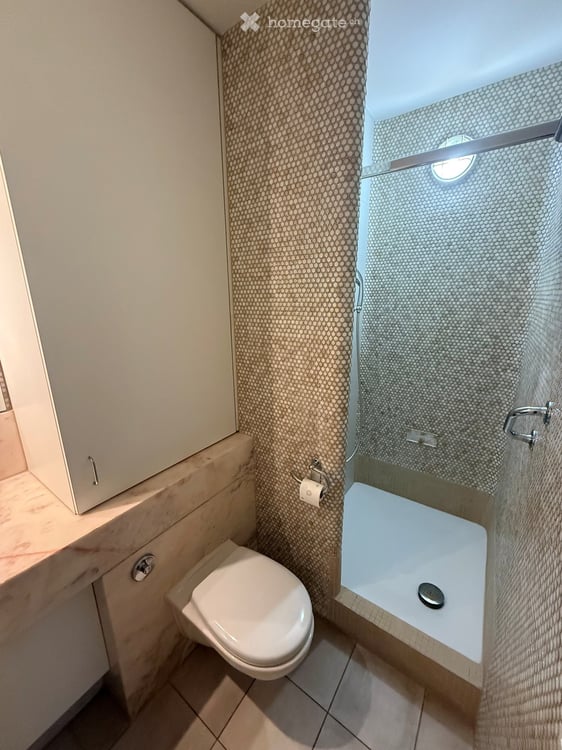 Grosszügige EG Wohnung am Steinbühlweg 21 in 4123 Allschwil inkl. Einstellhallenplatz 2