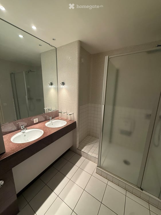 Grosszügige EG Wohnung am Steinbühlweg 21 in 4123 Allschwil inkl. Einstellhallenplatz 3