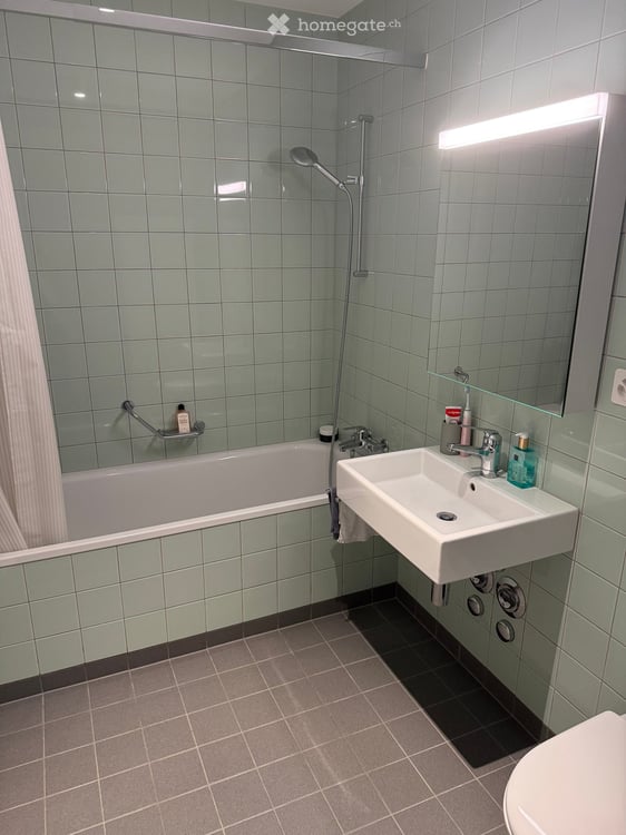Dachwohnung nahe der Roche, Coop/Migros 6