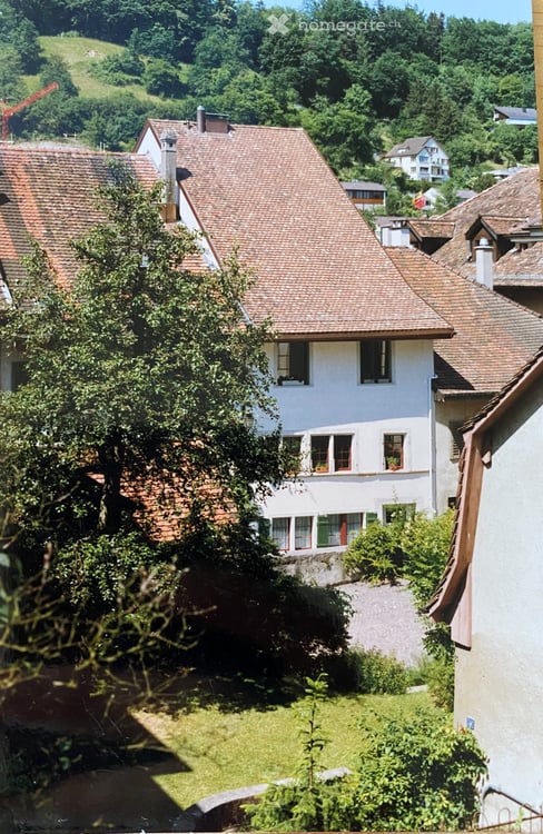 Altbau Bijou in Brugger Altstadt 5 Gehminuten bis Bahnhof Brugg