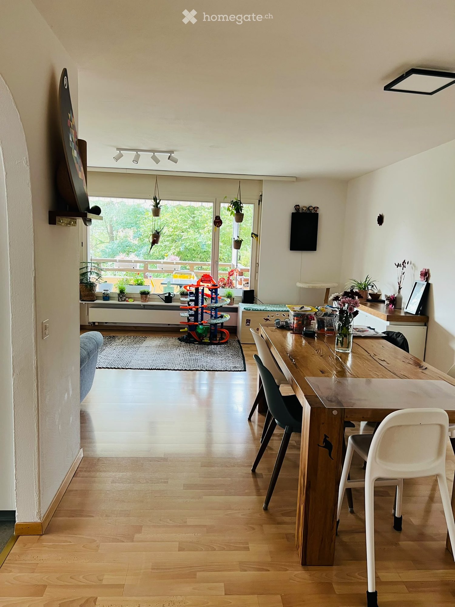Bright, open living and dining area with wooden flooring, large windows, and a sliding glass door leading to a balcony. Features a long wooden dining table with chairs, a cat tree, a sofa, and various decorative items including potted plants and a screen