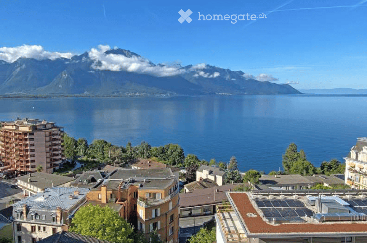 A panoramic view of a town with a lake and mountains in the background, featuring multiple buildings and solar panels on one roof.